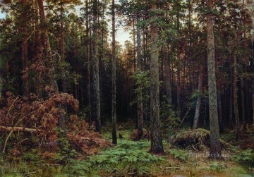 bosque de pinos 1885 1 paisaje clásico Ivan Ivanovich Pinturas al óleo